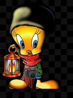 Tweety .thm.png