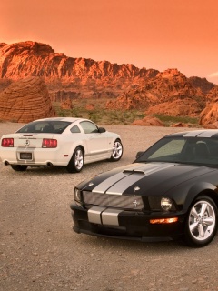 Mustang22.jpg