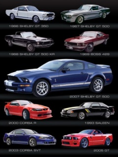 Mustang_Evolution.jpg