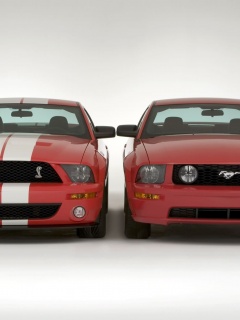 Saleen_And_Mustang.jpg