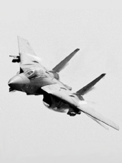 F-14_Tomcat.jpg