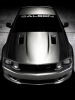 Saleen_S302_E.jpg  23.2 Ko