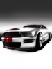 Mustang_Shelby.jpg  19.1 Ko